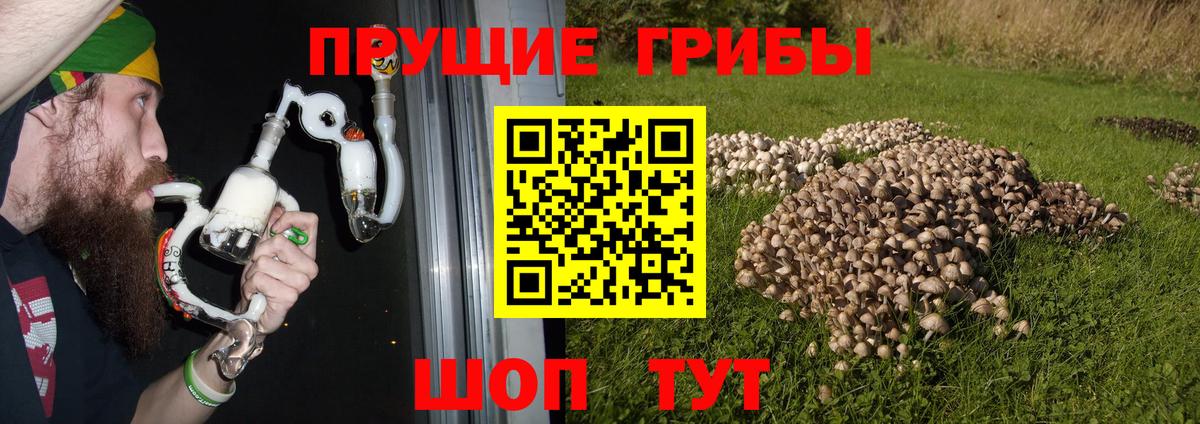Псилоцибиновые грибы MAGIC MUSHROOMS Солнечногорск